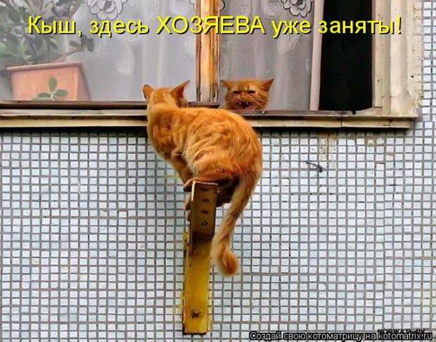 Мысли вслух :)
