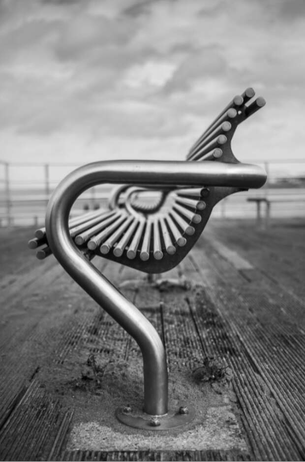 16. David Islip - Leica M10-P