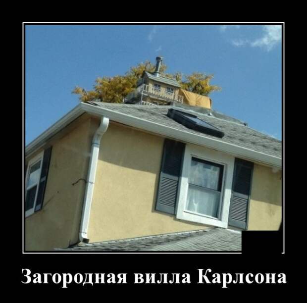 Демотиваторы (20 фото)