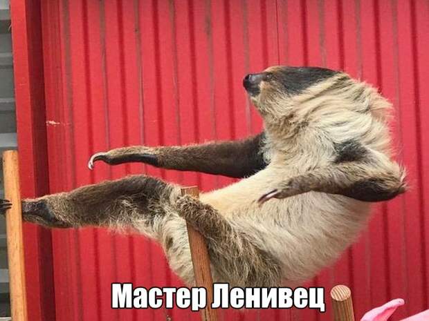 Веселые и жизненные картинки с надписями со смыслом (12 фото) Веселые и жизненные картинки с надписями со смыслом (12 фото)