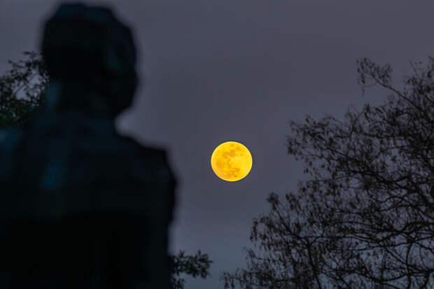 Обсерватория Университета Решетнёва: россияне смогут увидеть микролуние в мае