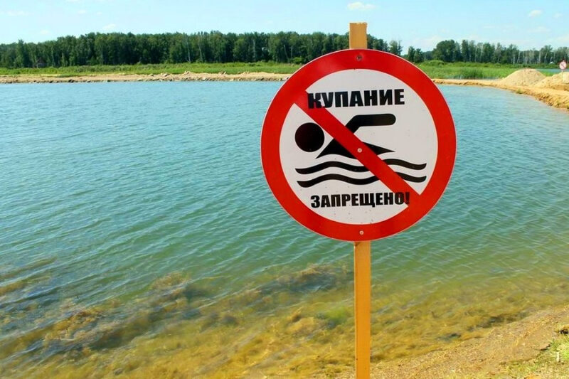 Опасные паразиты и инфекции, подстерегающие купальщиков в наших водоемах