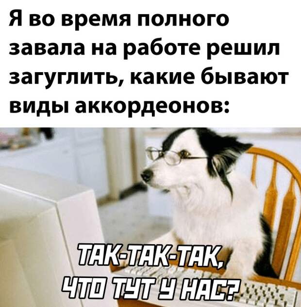Смешные картинки 1 ноября 2021 года