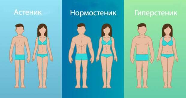 Простой лайфхак, как узнать тип своего телосложения Простой лайфхак как узнать тип своего телосложения