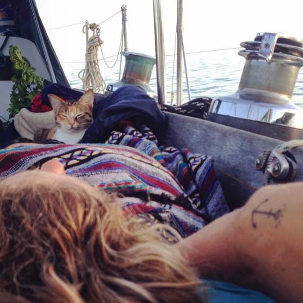 Эта девушка и её кошка живут в лодке и плывут вокруг света животные, история, факты