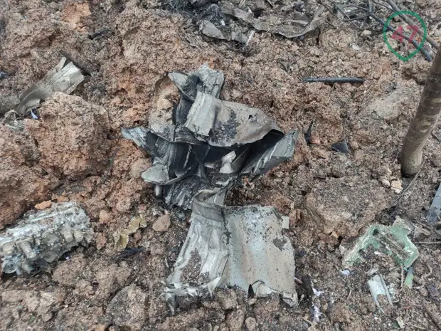 Появились фотографии с места падения под Лугой военного истребителя МиГ-31