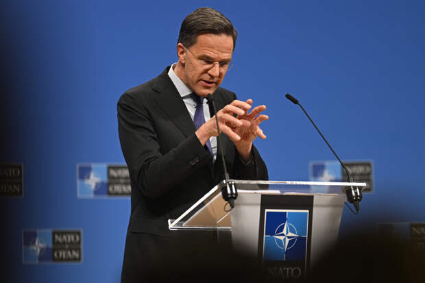 Генсек НАТО пообщался с псом Патроном