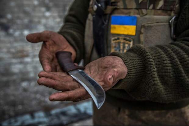 Тайная армия Украины?
