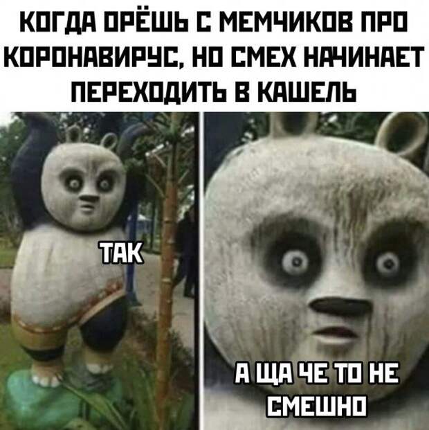 1584570605_kartinki-14.jpg