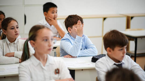 В Думе напомнили о праве привлекать школьников к труду без согласия родителей