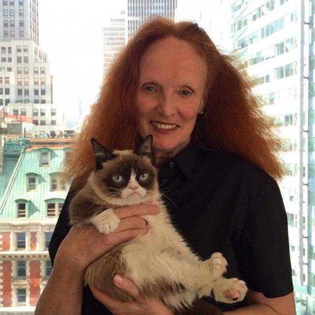 Grumpy Cat за 2 года обогатила свою хозяйку на 100 миллионов долларов (20 фото)