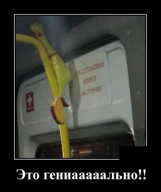 demotivatory-demotivator-smeshnye-demotivatory-demotivator-so-smyslom