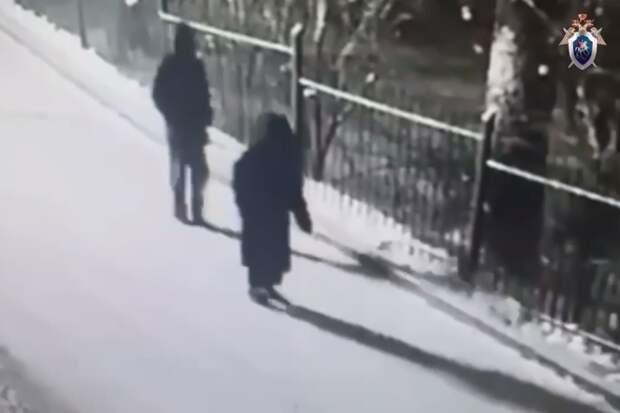 СК показал видео с похищением 14-летнего подростка в Красноярске