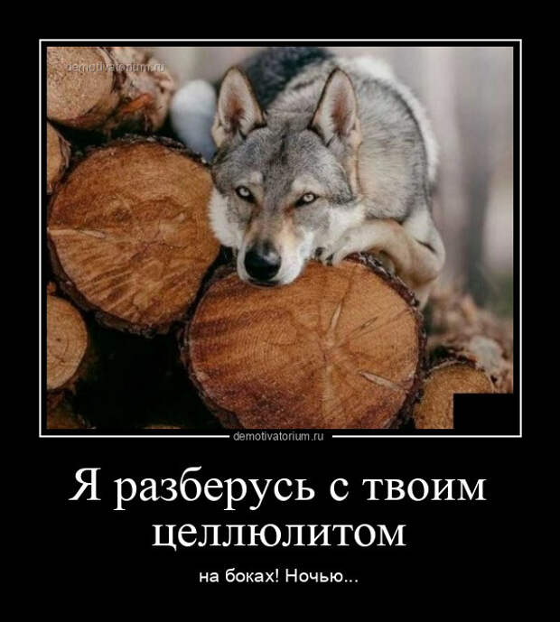 Свежие демотиваторы на Бугаге (16 шт)