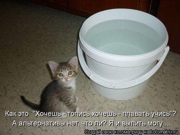 Мысли вслух :)