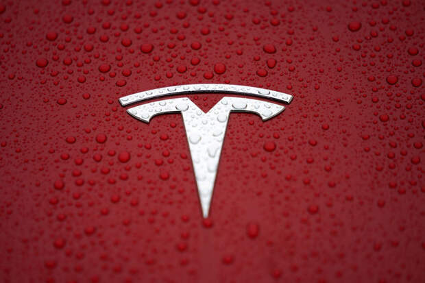 Акции Tesla стали защитными?