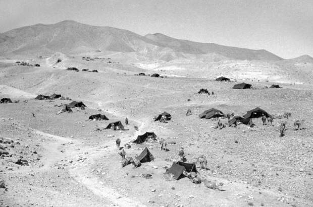 Исторические снимки от известного фотожурналиста Макса Десфора (20 фото)