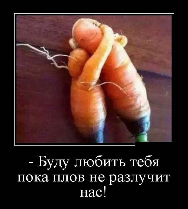 Демотиваторы (30 фото)