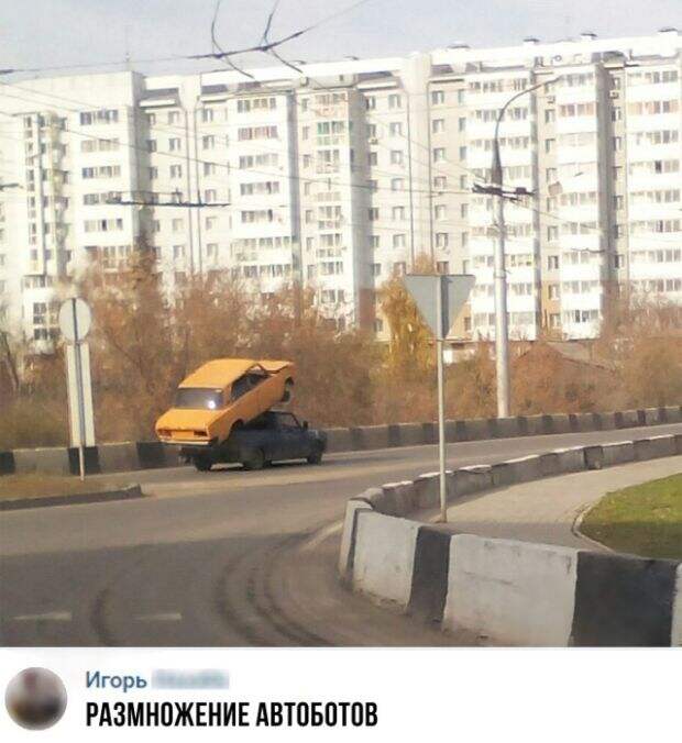 Подборка картинок. Дневной выпуск (20 фото)