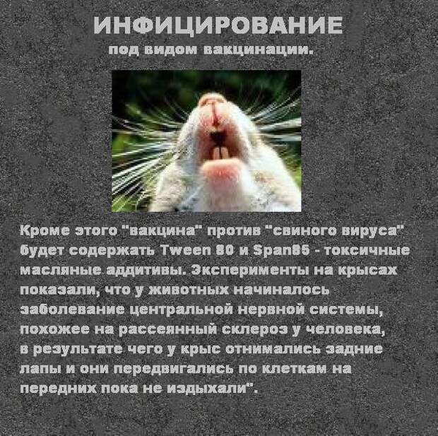 Прививки – всё, что нужно знать