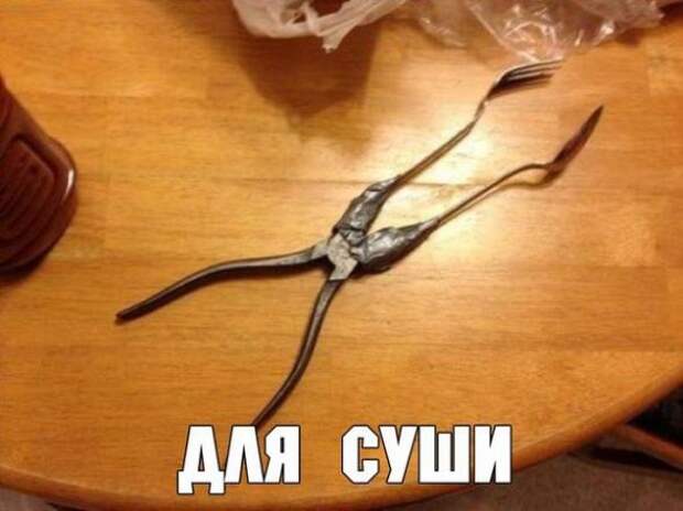 Картинки, юмор, приколы