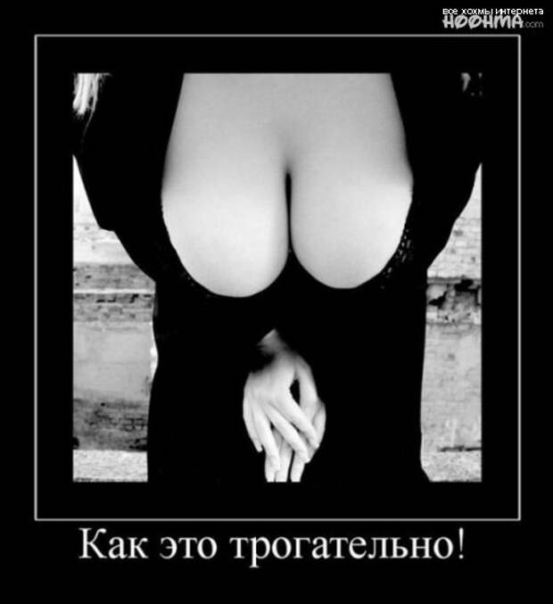 Веселая подборка демотиваторов