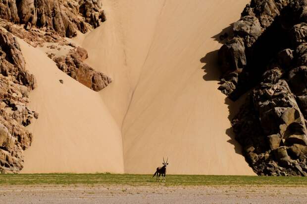 Национальный парк Берег скелетов в Намибии (Skeleton Coast Park)