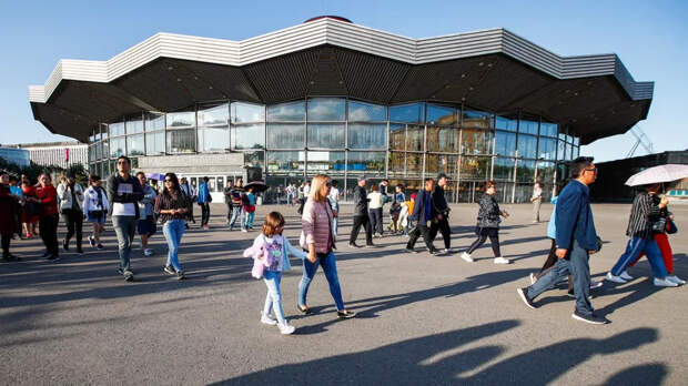 Запашный: акробат из Эфиопии упал с высоты в цирке из-за ошибки пассировщика