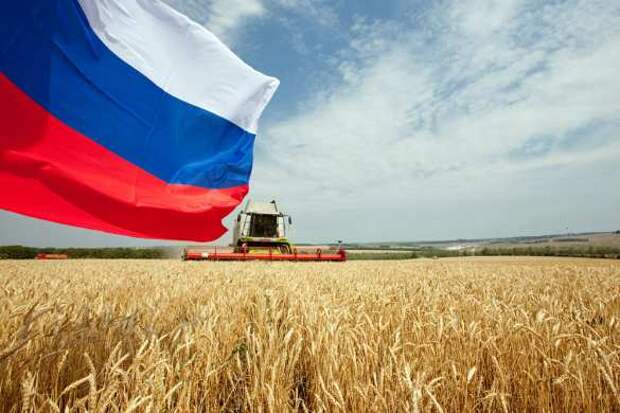 В США испугались запрета на экспорт зерна из России | Русская весна