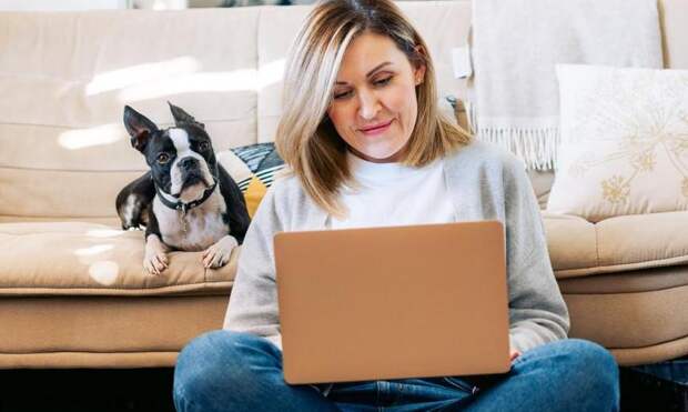 «Кто говорит, что кит айсберг разбил?»: пройдите тест и проверьте себя на внимательность