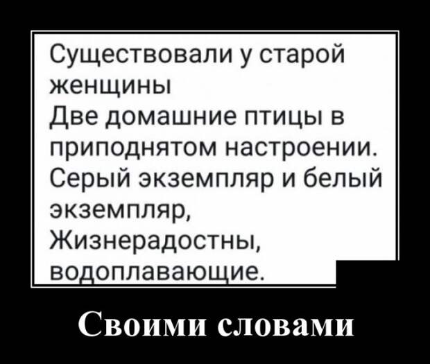 Демотиваторы (30 фото)