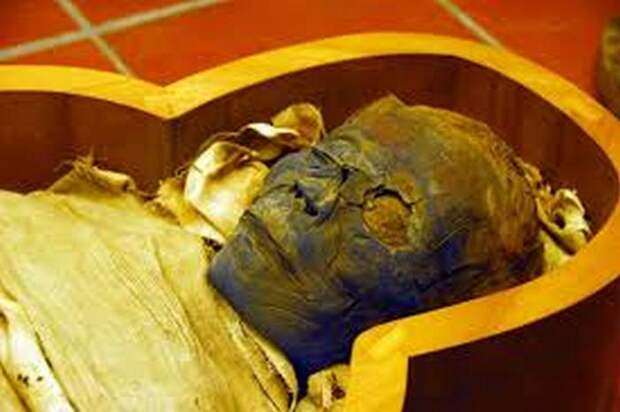 В деревянном ящика лежала мумия египетской прорицательницы, служившей фараону Аменхотепу IV. / Фото:rozavetrovsibir.ru