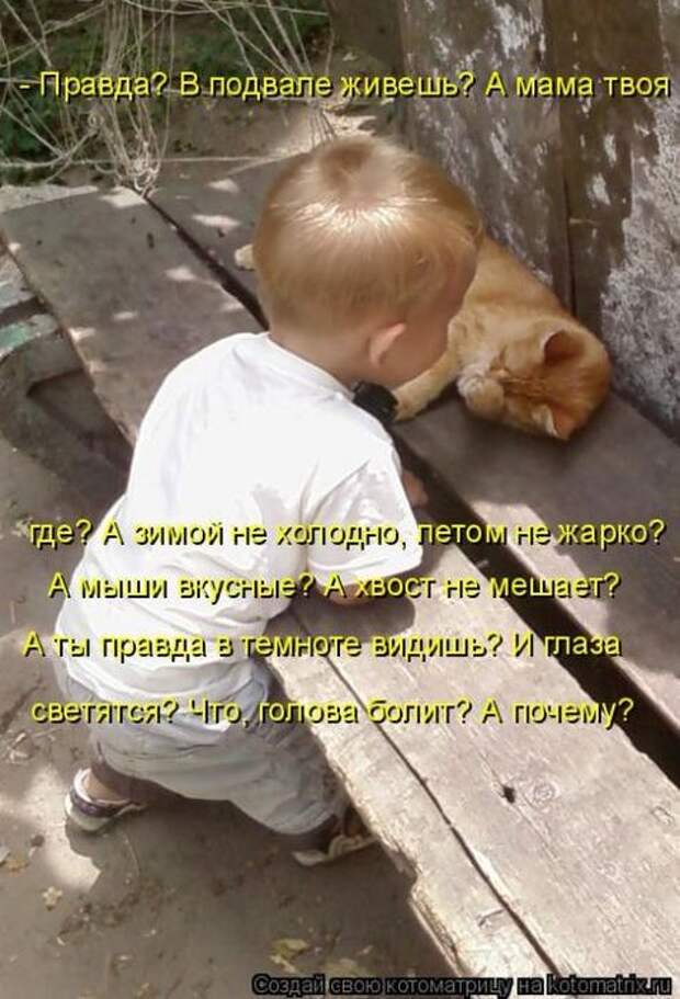 Мысли вслух :)