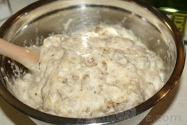 grib-babka4