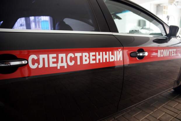 Бастрыкин поручил провести проверку по ситуации с отсутствием дороги к рязанскому селу