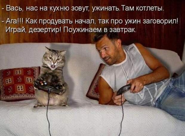 Субботний позитивчик (30 фото)