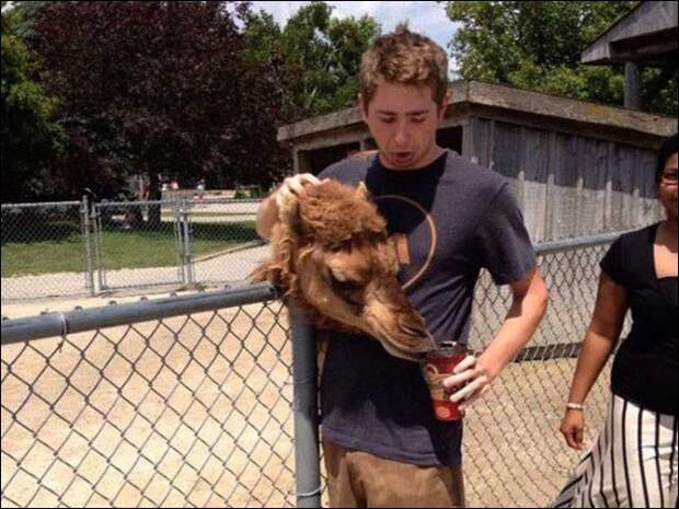 Показалось!