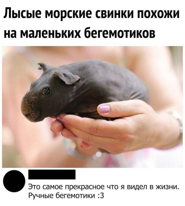Подборка картинок (20 фото)