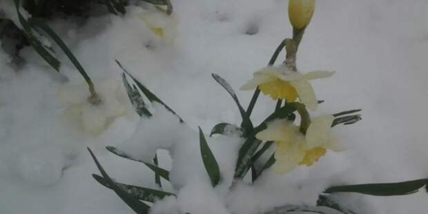 Майские праздники 2025: синоптики предупреждают о погодных аномалиях и резких перепадах