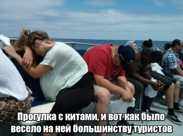 Непредвиденные ситуации встречающиеся на пути туристов Непредвиденные ситуации встречающиеся на пути туристов