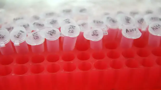 Роспотребнадзор сообщил о снижении прироста заболеваемости COVID-19 в России