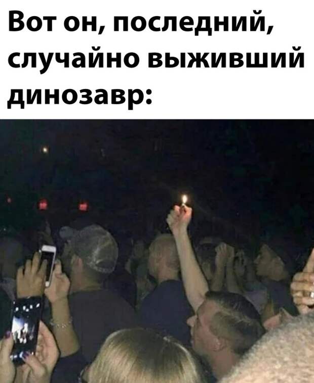 Смешные картинки 2 ноября 2021 года