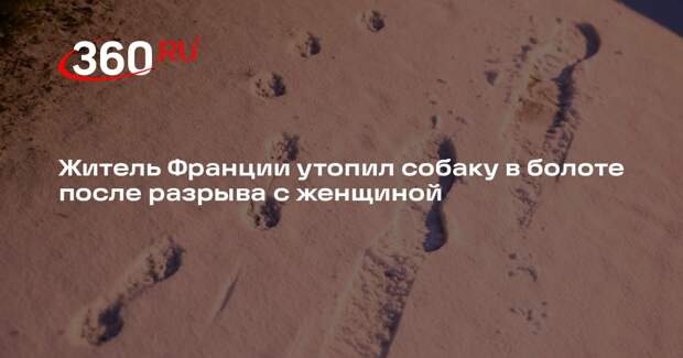 Daily Star: француз предстал перед судом после жестокого убийства своей собаки