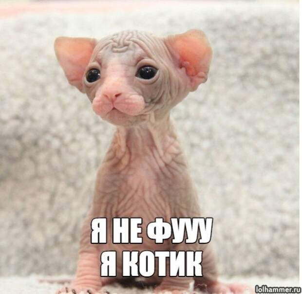 Нотка юмора для прекрасного вечера