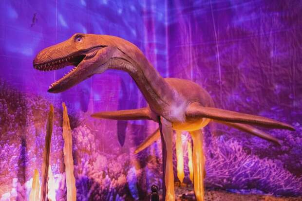 Мировая выставка «Динозавры морских глубин» в МЕГА Химки