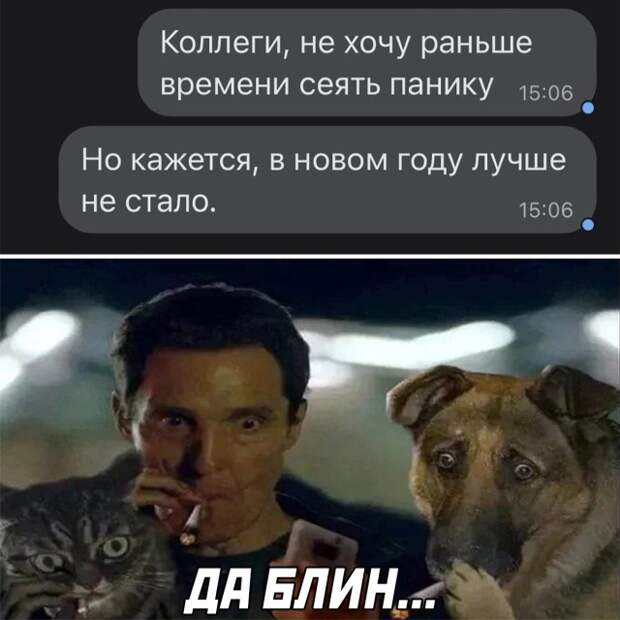Смешные картинки 4 января 2022 года