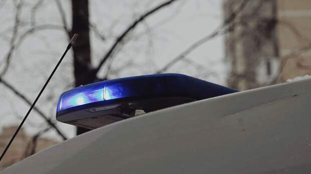 Полиция организовала проверку после пожара во время игрового квеста в Москве