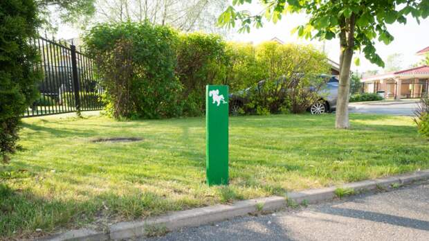 Тот самый туалетный столбик. Фото Александр Смирнов/kinologsmirnov.ru Тот самый туалетный столбик. Фото Александр Смирнов/kinologsmirnov.ru