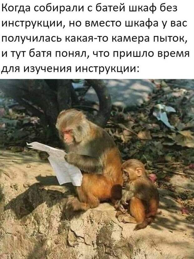 Жизненная Жизненная