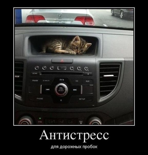 Всяко - разно 12 )))